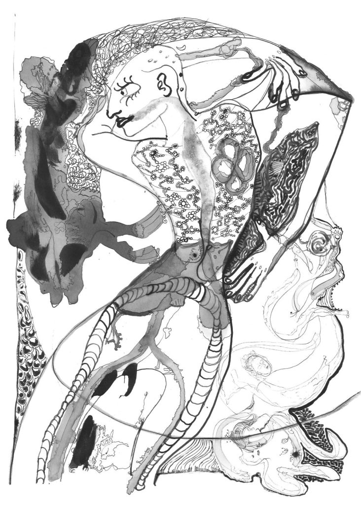 Matousha dessin organes poids