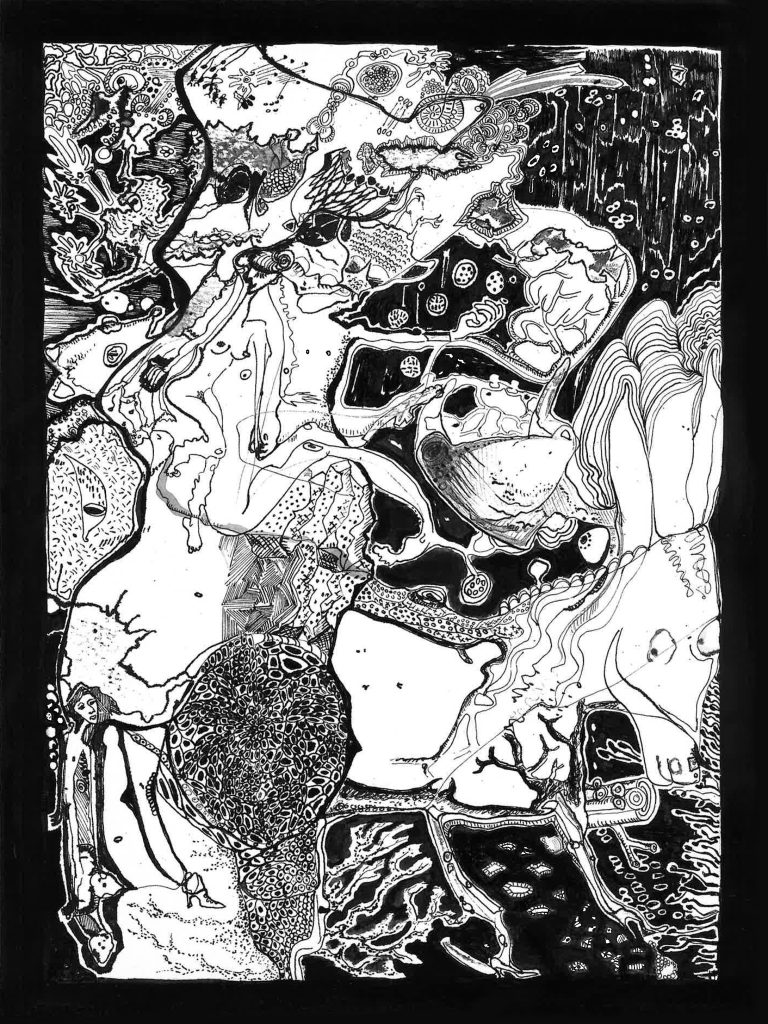 Matousha dessin âne nuit encre de chine