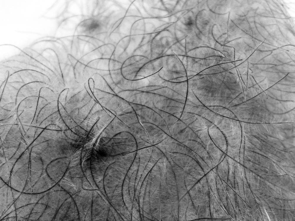 matousha - photo folles plumes végétales