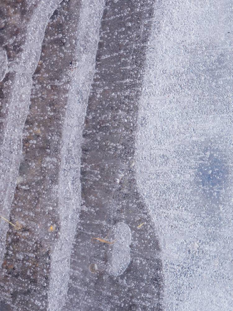 matousha - photo de bulles prises dans la glace