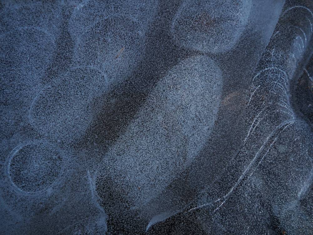 matousha - photo cellules de glace