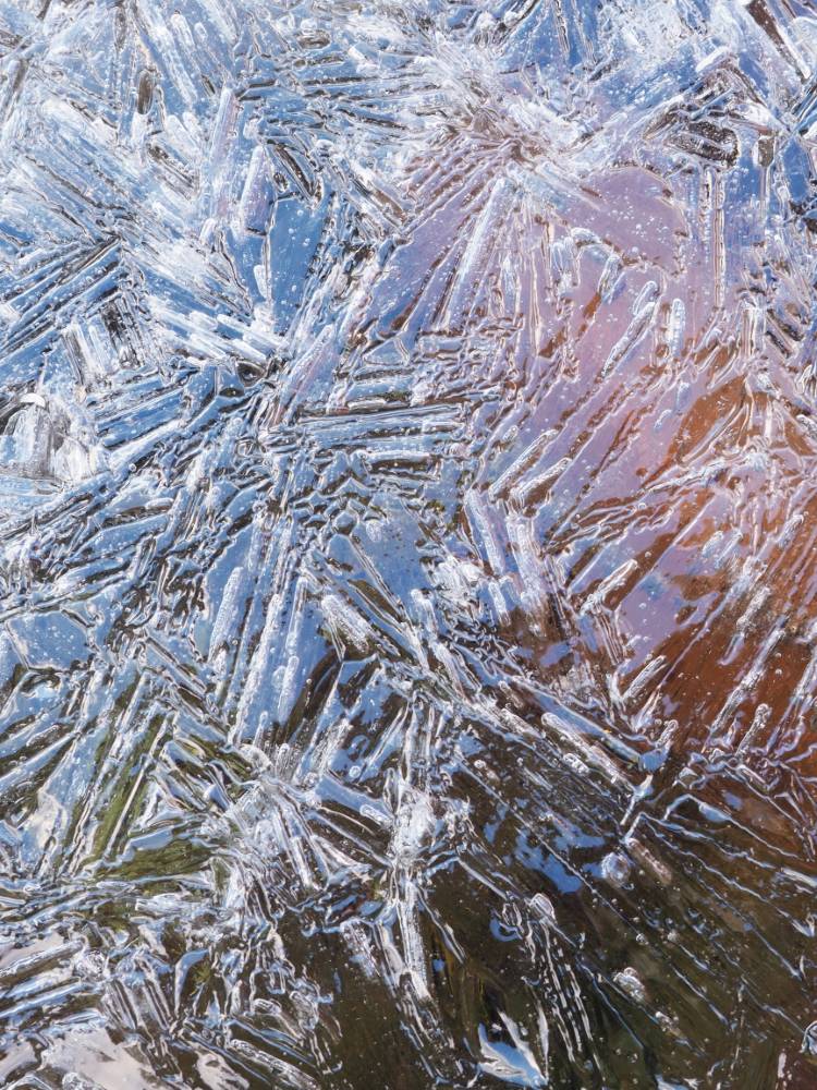 matousha - photo parquet de glace