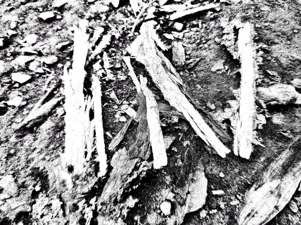 Matousha alphabet lettre N branches